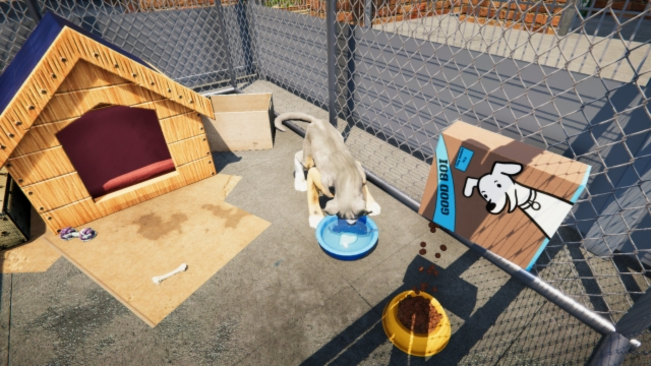  Animal Shelter PC free download elamigos