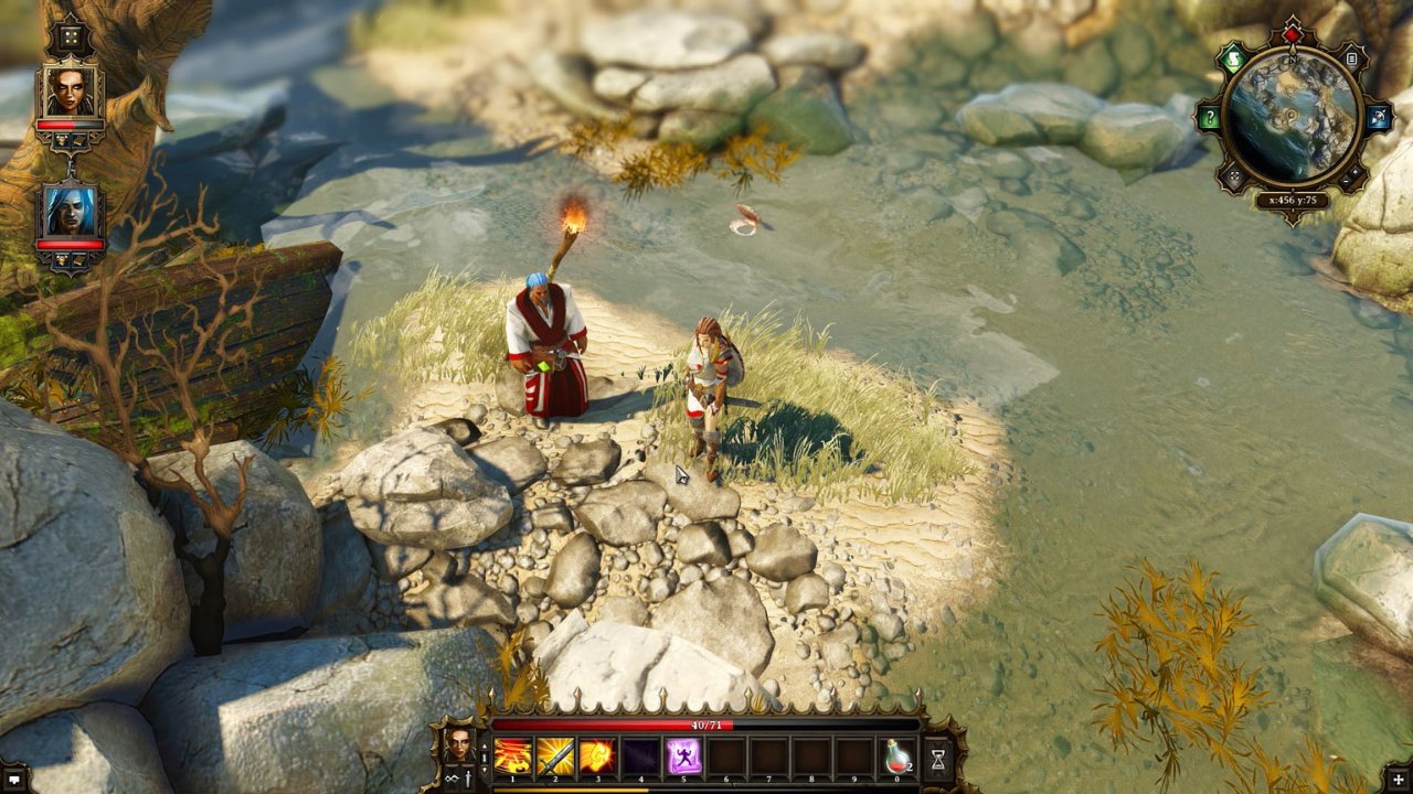 Divinity: Original Sin - Enhanced Edition PC (2015) free download