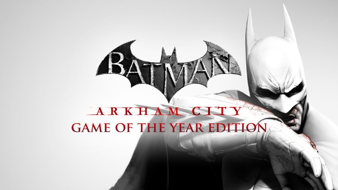 Batman Arkham City Game of the Year Edition PC